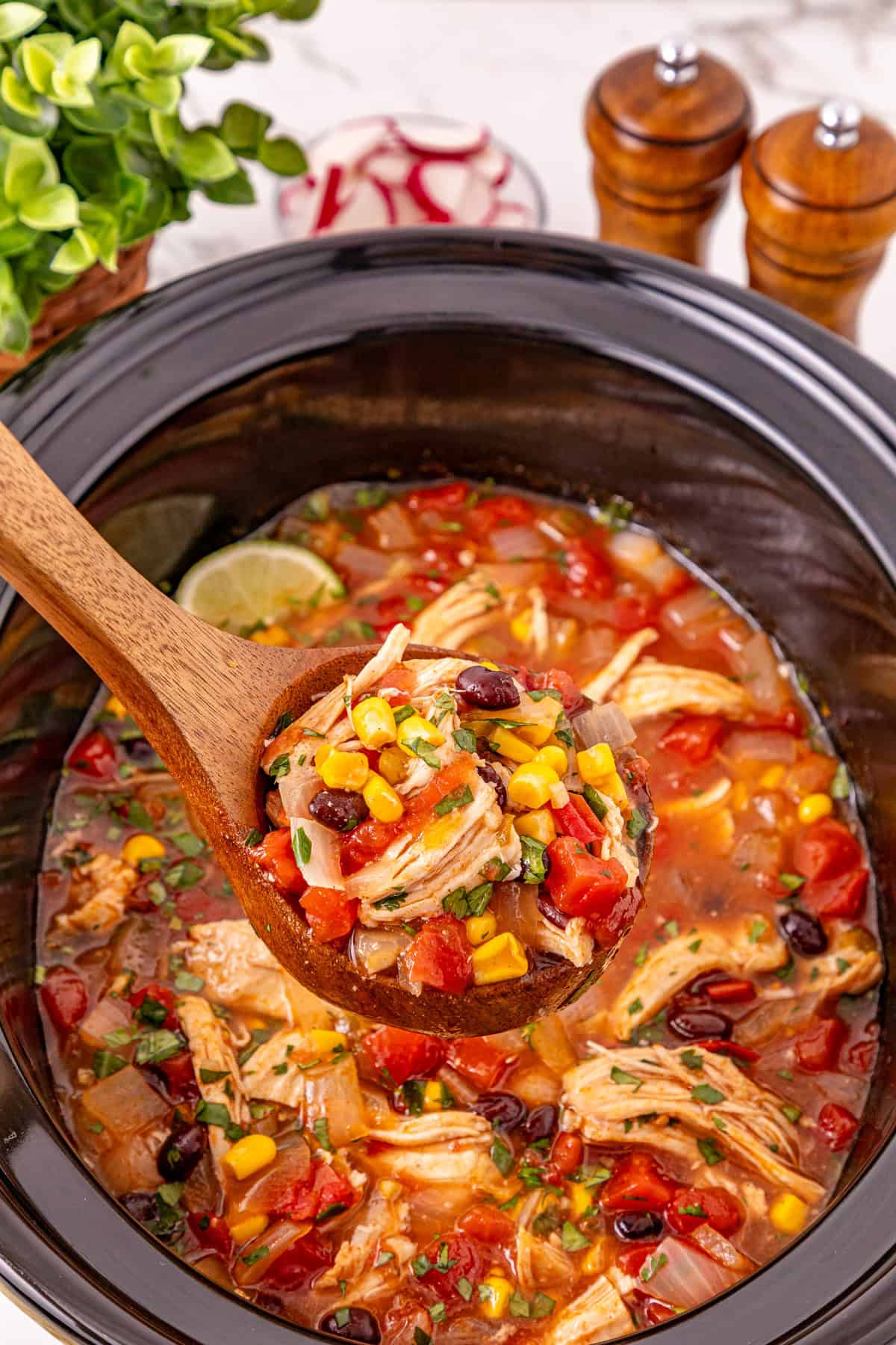A wooden ladle in crockpot chicken enchilada soup