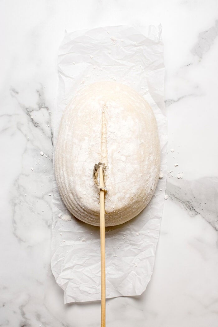 Made with an active sourdough starter, pantry staples, and a simple process, this Sourdough Bread recipe is perfect for beginners. Scoring the top of a sourdough bread dough