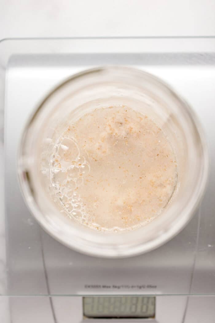 This easy sourdough starter recipe walks you through the process day-by-day with images. Great for beginners! Water added to flour on a scale