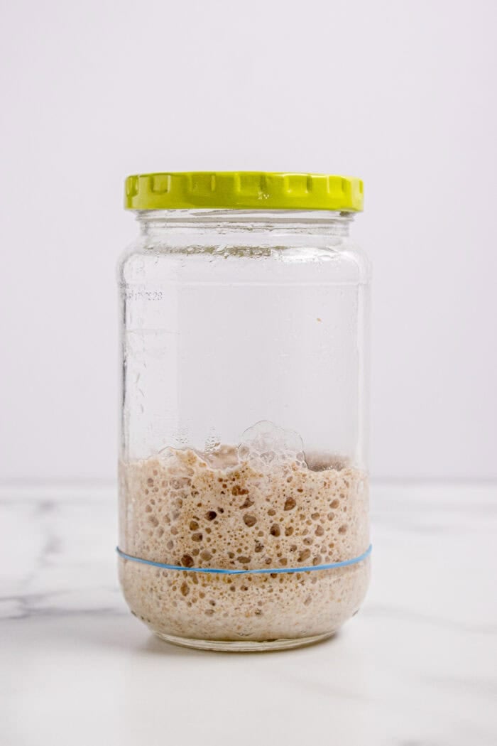 This easy sourdough starter recipe walks you through the process day-by-day with images. Great for beginners! Sourdough starter on day 2 after it's tripled