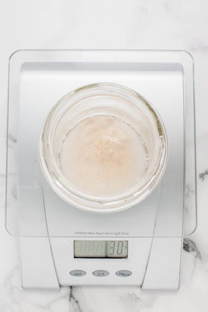 This easy sourdough starter recipe walks you through the process day-by-day with images. Great for beginners! Weighing sourdough starter on a food scale