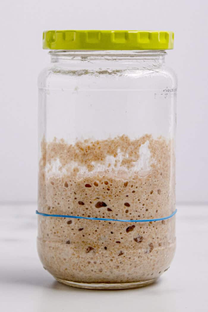 This easy sourdough starter recipe walks you through the process day-by-day with images. Great for beginners! Sourdough starter in a jar on day 3 after it has risen and fallen