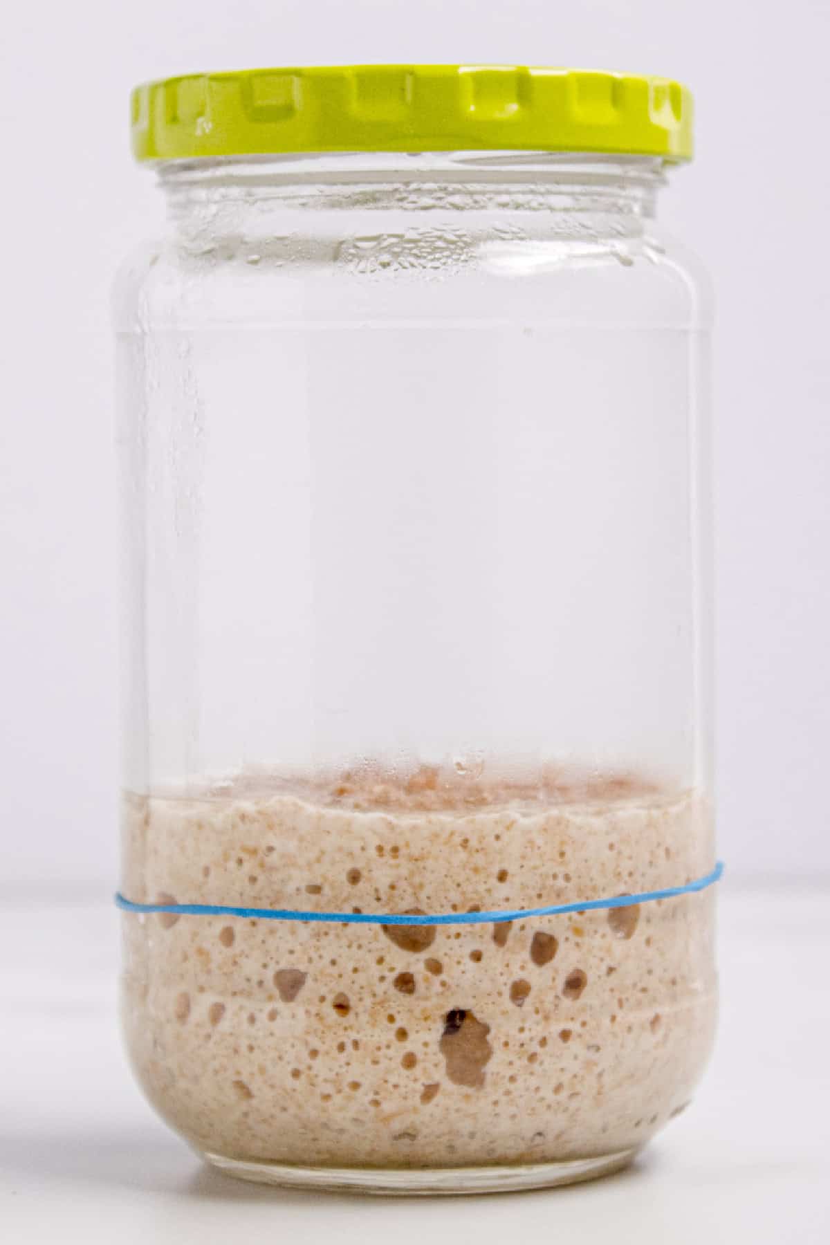 This easy sourdough starter recipe walks you through the process day-by-day with images. Great for beginners! Sourdough starter on day 5 with a small amount of rise