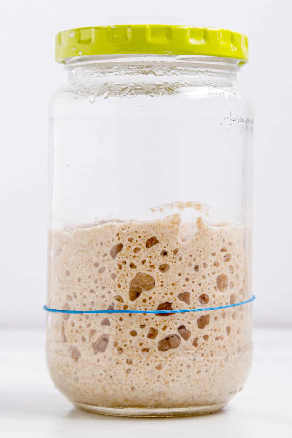 This easy sourdough starter recipe walks you through the process day-by-day with images. Great for beginners! Sourdough starter on day 7 when it has doubled in size