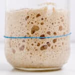 Close up of a jar of sourdough starter that has doubled in size feature