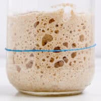 Close up of a jar of sourdough starter that has doubled in size feature