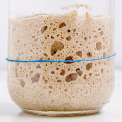 Close up of a jar of sourdough starter that has doubled in size feature