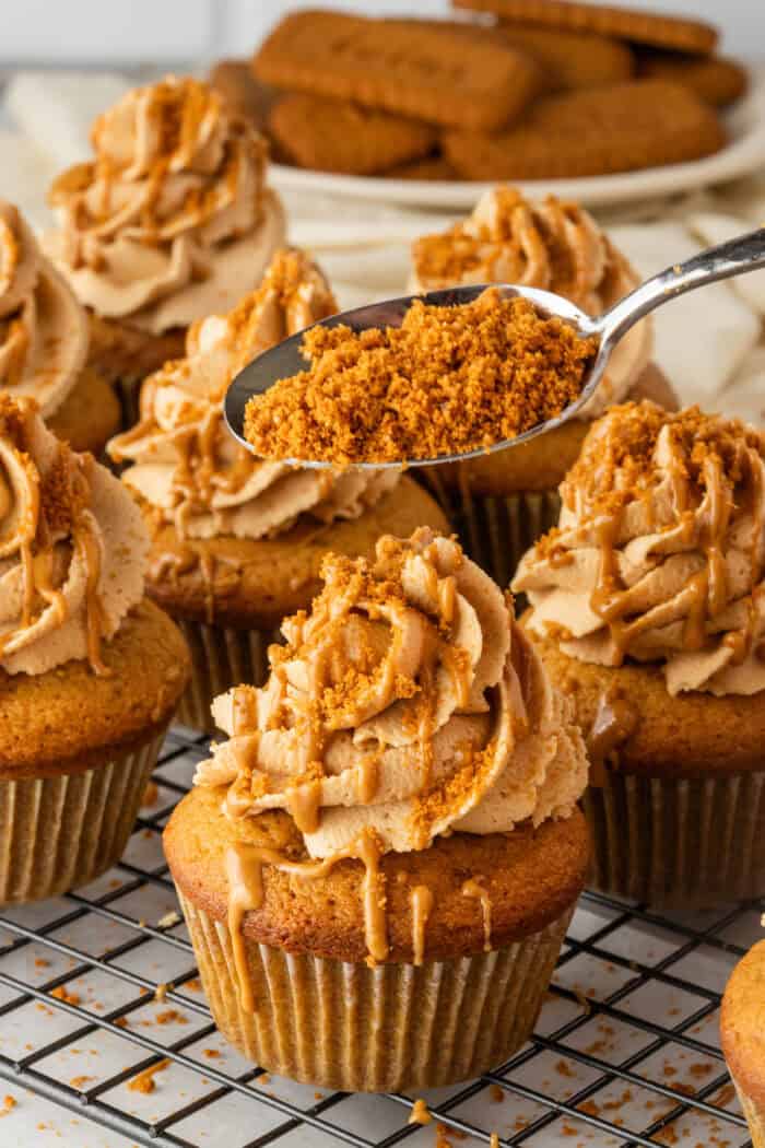 These Biscoff Cupcakes are soft, ultra-moist, and packed with warm caramelized flavor from cookie butter in both the batter and frosting. Sprinkling crushed Biscoff cookies on top of frosted cupcakes