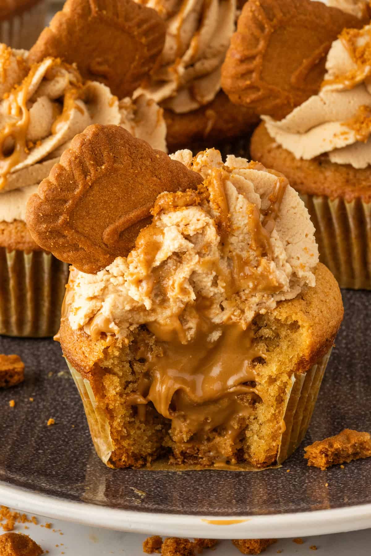 These Biscoff Cupcakes are soft, ultra-moist, and packed with warm caramelized flavor from cookie butter in both the batter and frosting. A Biscoff cupcake with a bite missing to show the filling