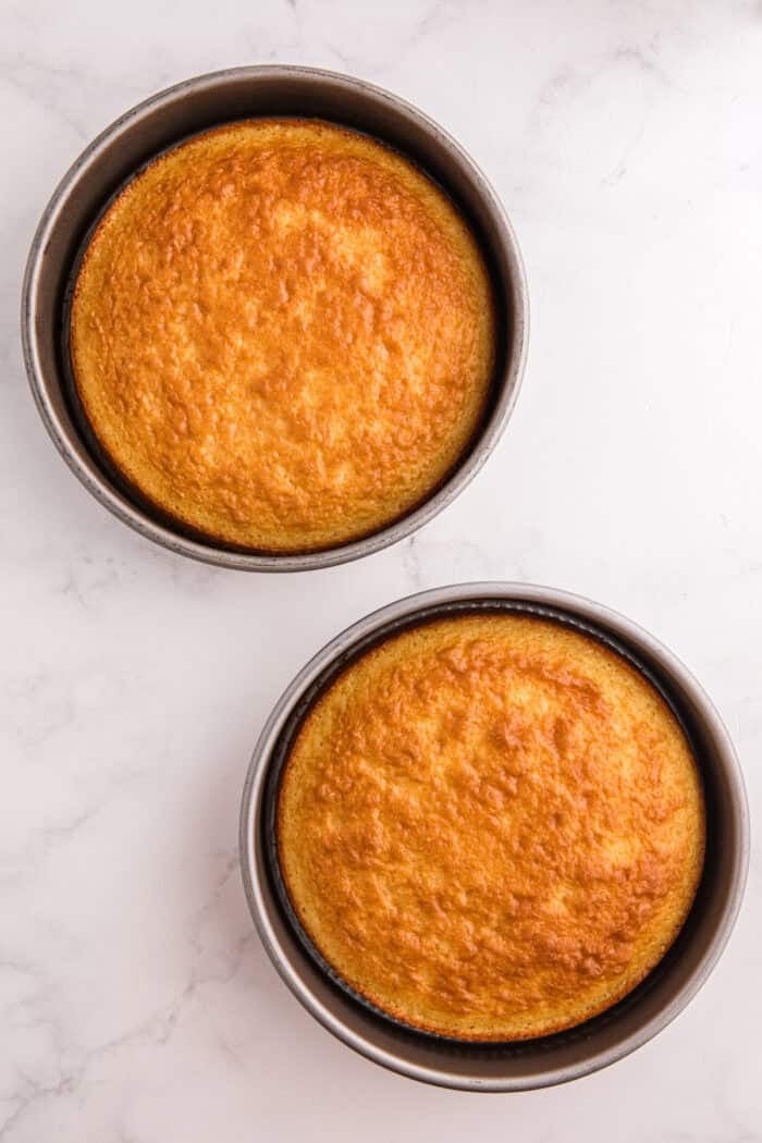 Moist lemon cakes, tangy blueberry cheesecake filling, & tart lemon frosting make up the layers of this Lemon Blueberry Cheesecake Cake. Overhead view of two round lemon cakes in the pans