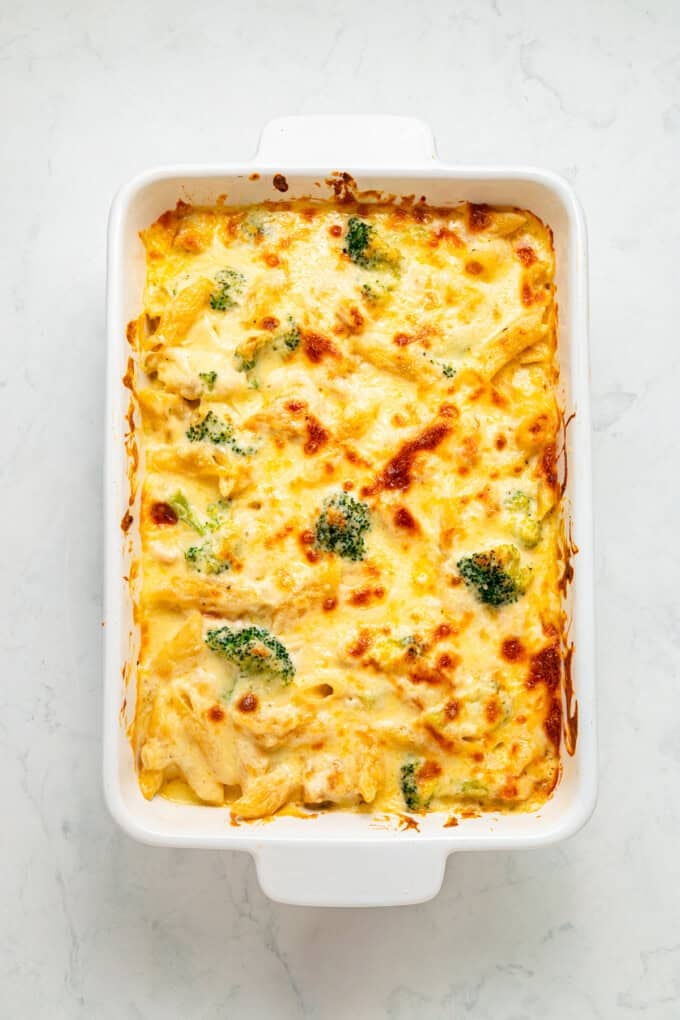Tender penne, shredded chicken, and broccoli are tossed in a from-scratch sauce that's rich and garlicky in this Chicken Broccoli Alfredo. Overhead view of chicken broccoli alfredo pasta bake