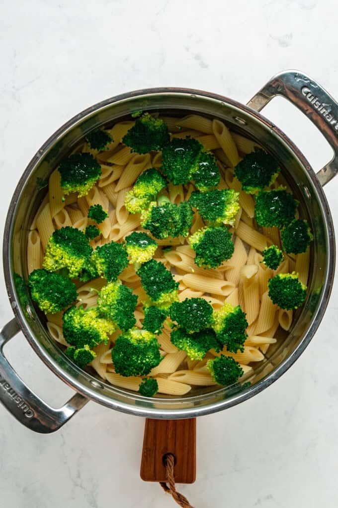 Tender penne, shredded chicken, and broccoli are tossed in a from-scratch sauce that's rich and garlicky in this Chicken Broccoli Alfredo. Broccoli florets and pasta in a pot