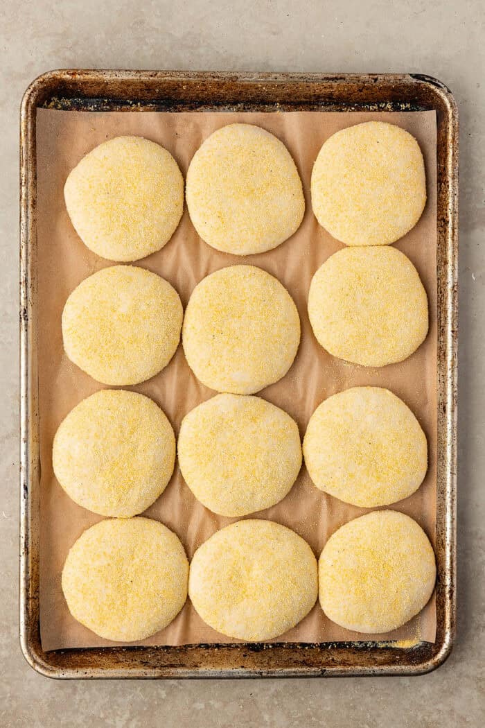 These Sourdough English Muffins are soft, chewy, and full of the classic nooks and crannies everyone loves. Circles of dough on a baking sheet after rising
