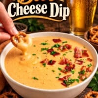 Beer Cheese Dip pin