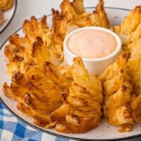 Blooming Onion Recipe feature