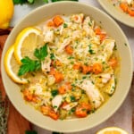 Chicken and Leek Soup feature