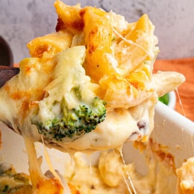 Chicken Broccoli Alfredo feature