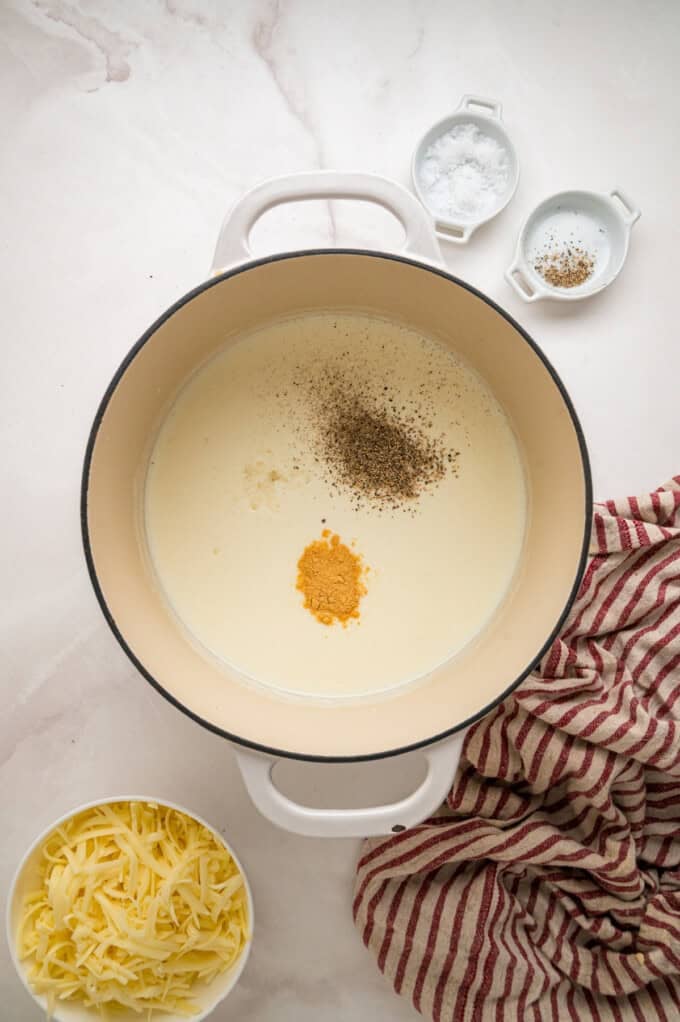Tender shell pasta is coated in a thick, creamy white cheddar cheese sauce in this copycat Panera Mac and Cheese recipe. Seasonings added to a pot of half and half