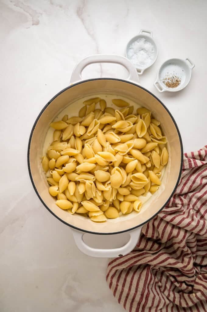 Tender shell pasta is coated in a thick, creamy white cheddar cheese sauce in this copycat Panera Mac and Cheese recipe. Shell pasta added to white cheddar cheese sauce
