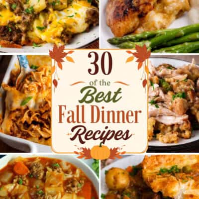 30 of the Best Fall Dinner Recipes feature