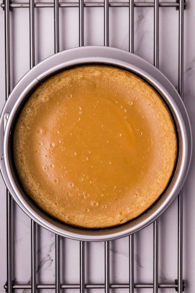 A creamy cookie butter cheesecake filling is baked in a Biscoff crust and topped with more cookie butter in this Biscoff Cheesecake recipe. Overhead view of a baked biscoff cheesecake