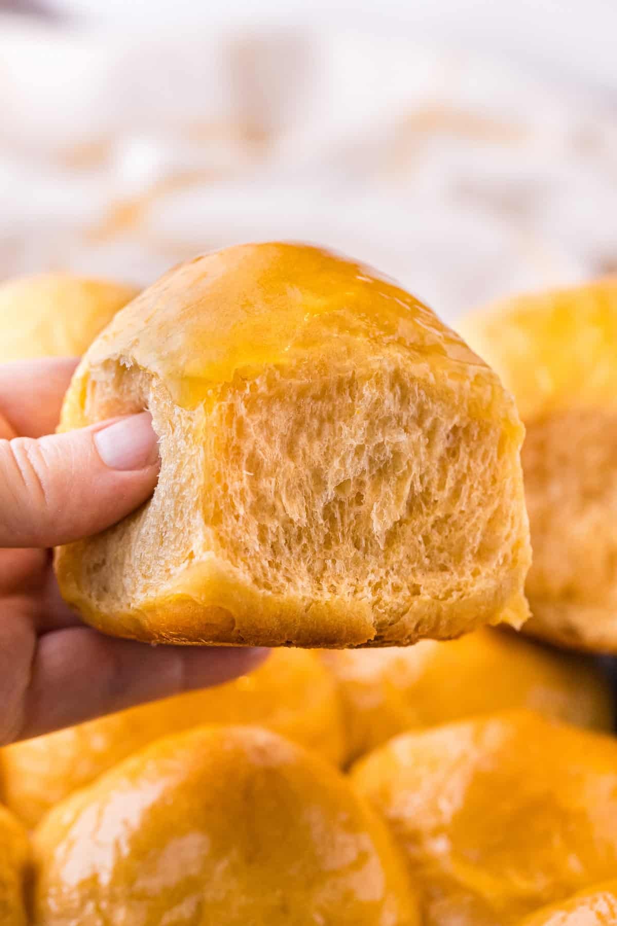 These soft, fluffy Sweet Potato Rolls are brushed with warm honey butter right out of the oven. Easy to make with a few basic ingredients! A hand holding a sweet potato roll